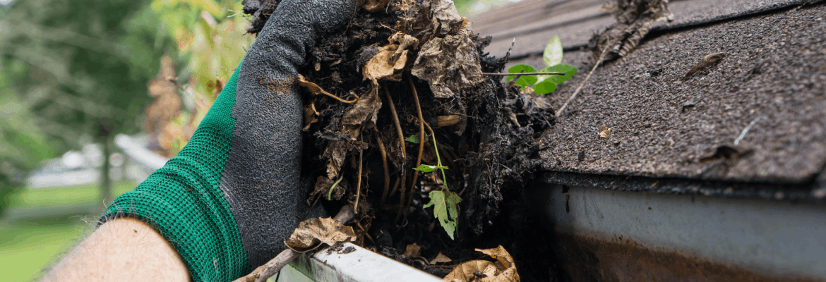 Dwight's Gutter Cleaning Service
